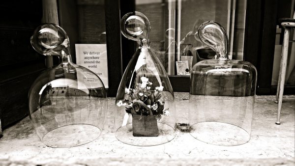 Copri vivande, copri fiori, sculture, oggetti o altri usi.